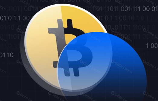 什么是代币化比特币？