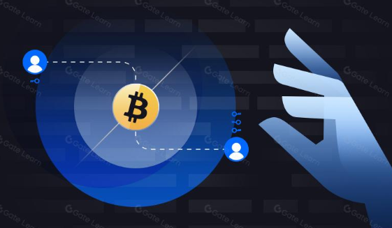 比特币自我托管方法比较