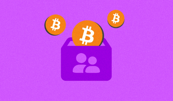 比特币：千禧一代在动荡世界中的财富与自主之路