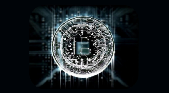 比特币追逐的一种金钱标准