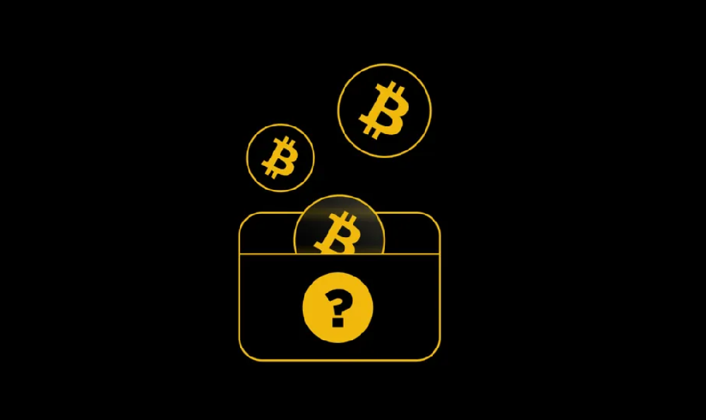 谁拥有最多比特币？